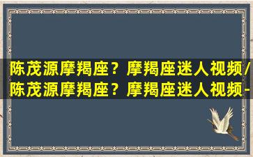 陈茂源摩羯座？摩羯座迷人视频/陈茂源摩羯座？摩羯座迷人视频-我的网站