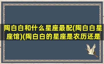 陶白白和什么星座最配(陶白白星座馆)(陶白白的星座是农历还是阳历)