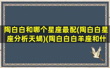 陶白白和哪个星座最配(陶白白星座分析天蝎)(陶白白白羊座和什么星座最配)