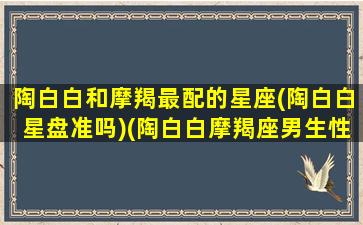 陶白白和摩羯最配的星座(陶白白星盘准吗)(陶白白摩羯座男生性格特点)