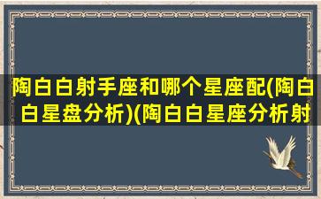 陶白白射手座和哪个星座配(陶白白星盘分析)(陶白白星座分析射手女性格)