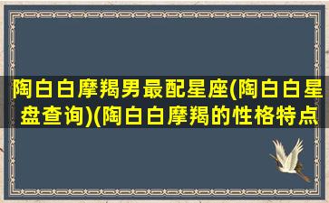 陶白白摩羯男最配星座(陶白白星盘查询)(陶白白摩羯的性格特点)