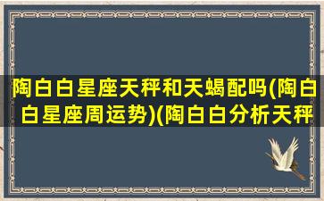 陶白白星座天秤和天蝎配吗(陶白白星座周运势)(陶白白分析天秤座性格)