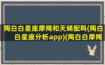 陶白白星座摩羯和天蝎配吗(陶白白星座分析app)(陶白白摩羯的性格特点)