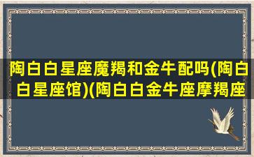 陶白白星座魔羯和金牛配吗(陶白白星座馆)(陶白白金牛座摩羯座)