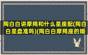 陶白白讲摩羯和什么星座配(陶白白星盘准吗)(陶白白摩羯座的婚恋观)