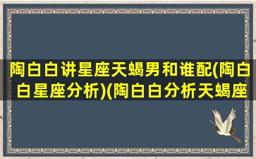 陶白白讲星座天蝎男和谁配(陶白白星座分析)(陶白白分析天蝎座男生)