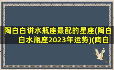 陶白白讲水瓶座最配的星座(陶白白水瓶座2023年运势)(陶白白水瓶座2021运势)