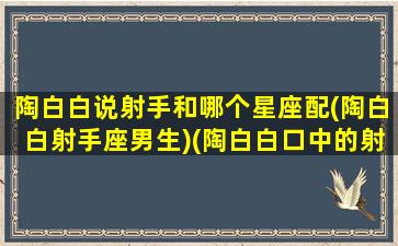 陶白白说射手和哪个星座配(陶白白射手座男生)(陶白白口中的射手座)