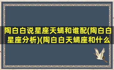 陶白白说星座天蝎和谁配(陶白白星座分析)(陶白白天蝎座和什么星座最配)