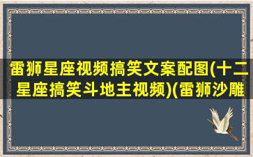 雷狮星座视频搞笑文案配图(十二星座搞笑斗地主视频)(雷狮沙雕)