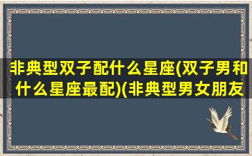 非典型双子配什么星座(双子男和什么星座最配)(非典型男女朋友是什么意思)