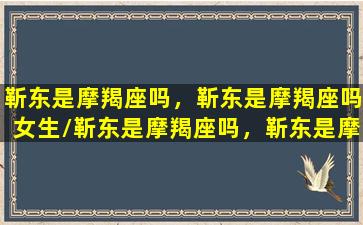 靳东是摩羯座吗，靳东是摩羯座吗女生/靳东是摩羯座吗，靳东是摩羯座吗女生-我的网站