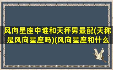 风向星座中谁和天秤男最配(天称是风向星座吗)(风向星座和什么星座配)