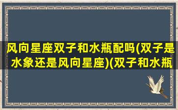 风向星座双子和水瓶配吗(双子是水象还是风向星座)(双子和水瓶都是风象星座)