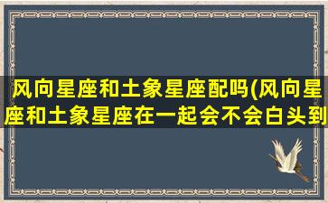 风向星座和土象星座配吗(风向星座和土象星座在一起会不会白头到老)