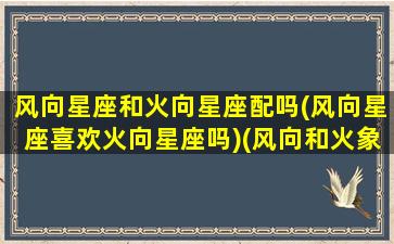 风向星座和火向星座配吗(风向星座喜欢火向星座吗)(风向和火象星座和吗)