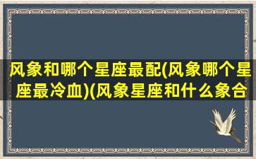 风象和哪个星座最配(风象哪个星座最冷血)(风象星座和什么象合适)