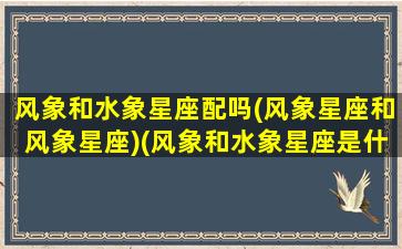 风象和水象星座配吗(风象星座和风象星座)(风象和水象星座是什么)