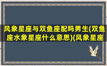 风象星座与双鱼座配吗男生(双鱼座水象星座什么意思)(风象星座跟风象星座配吗)