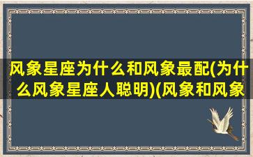 风象星座为什么和风象最配(为什么风象星座人聪明)(风象和风象星座合适吗)