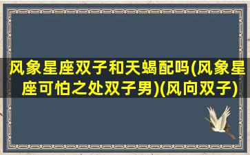 风象星座双子和天蝎配吗(风象星座可怕之处双子男)(风向双子)