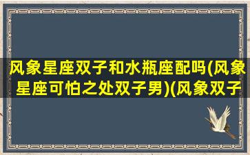 风象星座双子和水瓶座配吗(风象星座可怕之处双子男)(风象双子座和土象金牛座)