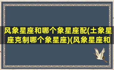 风象星座和哪个象星座配(土象星座克制哪个象星座)(风象星座和土象星座合适吗)