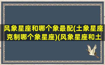 风象星座和哪个象最配(土象星座克制哪个象星座)(风象星座和土象星座配对)