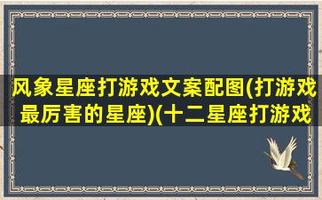 风象星座打游戏文案配图(打游戏最厉害的星座)(十二星座打游戏会有什么状态呢)