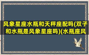 风象星座水瓶和天秤座配吗(双子和水瓶是风象星座吗)(水瓶座风象星座什么意思)