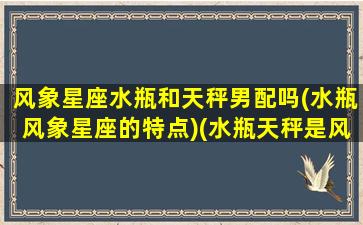 风象星座水瓶和天秤男配吗(水瓶风象星座的特点)(水瓶天秤是风象星座)