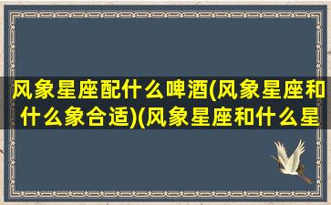 风象星座配什么啤酒(风象星座和什么象合适)(风象星座和什么星座相克)