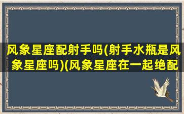 风象星座配射手吗(射手水瓶是风象星座吗)(风象星座在一起绝配)