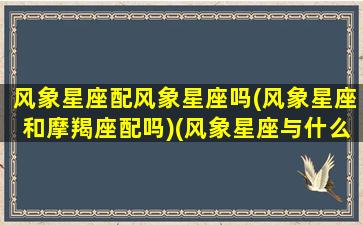 风象星座配风象星座吗(风象星座和摩羯座配吗)(风象星座与什么最搭配)