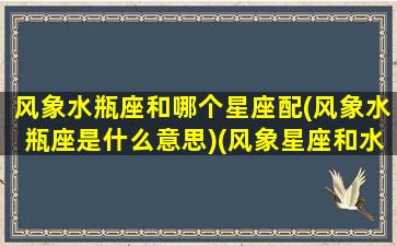 风象水瓶座和哪个星座配(风象水瓶座是什么意思)(风象星座和水象星座合适吗)