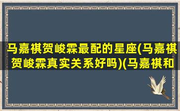 马嘉祺贺峻霖最配的星座(马嘉祺贺峻霖真实关系好吗)(马嘉祺和贺峻霖初次见面)