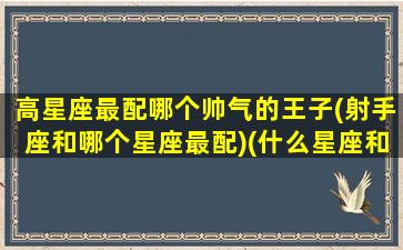 高星座最配哪个帅气的王子(射手座和哪个星座最配)(什么星座和射手座最搭)