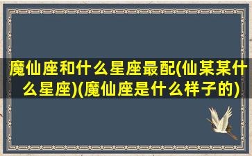 魔仙座和什么星座最配(仙某某什么星座)(魔仙座是什么样子的)