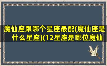 魔仙座跟哪个星座最配(魔仙座是什么星座)(12星座是哪位魔仙)