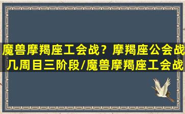 魔兽摩羯座工会战？摩羯座公会战几周目三阶段/魔兽摩羯座工会战？摩羯座公会战几周目三阶段-我的网站