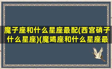 魔子座和什么星座最配(西宫硝子什么星座)(魔竭座和什么星座最配对)