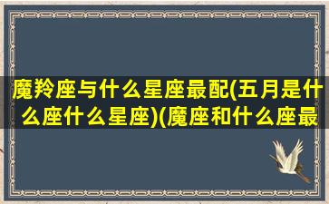 魔羚座与什么星座最配(五月是什么座什么星座)(魔座和什么座最配)