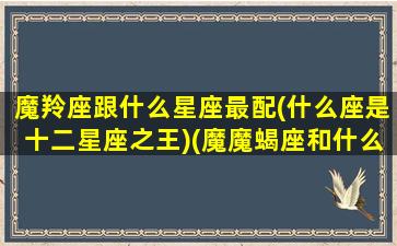 魔羚座跟什么星座最配(什么座是十二星座之王)(魔魔蝎座和什么座最配)