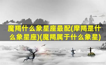 魔羯什么象星座最配(摩羯是什么象星座)(魔羯属于什么象星)