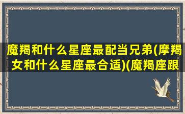 魔羯和什么星座最配当兄弟(摩羯女和什么星座最合适)(魔羯座跟什么星座最合得来)