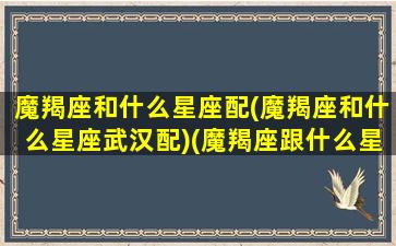 魔羯座和什么星座配(魔羯座和什么星座武汉配)(魔羯座跟什么星座最合得来)