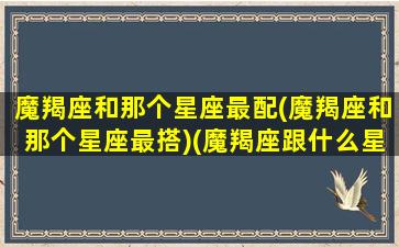 魔羯座和那个星座最配(魔羯座和那个星座最搭)(魔羯座跟什么星座最合得来)