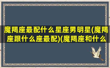 魔羯座最配什么星座男明星(魔羯座跟什么座最配)(魔羯座和什么星座很配)