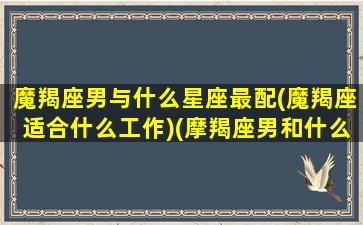 魔羯座男与什么星座最配(魔羯座适合什么工作)(摩羯座男和什么星座配对)